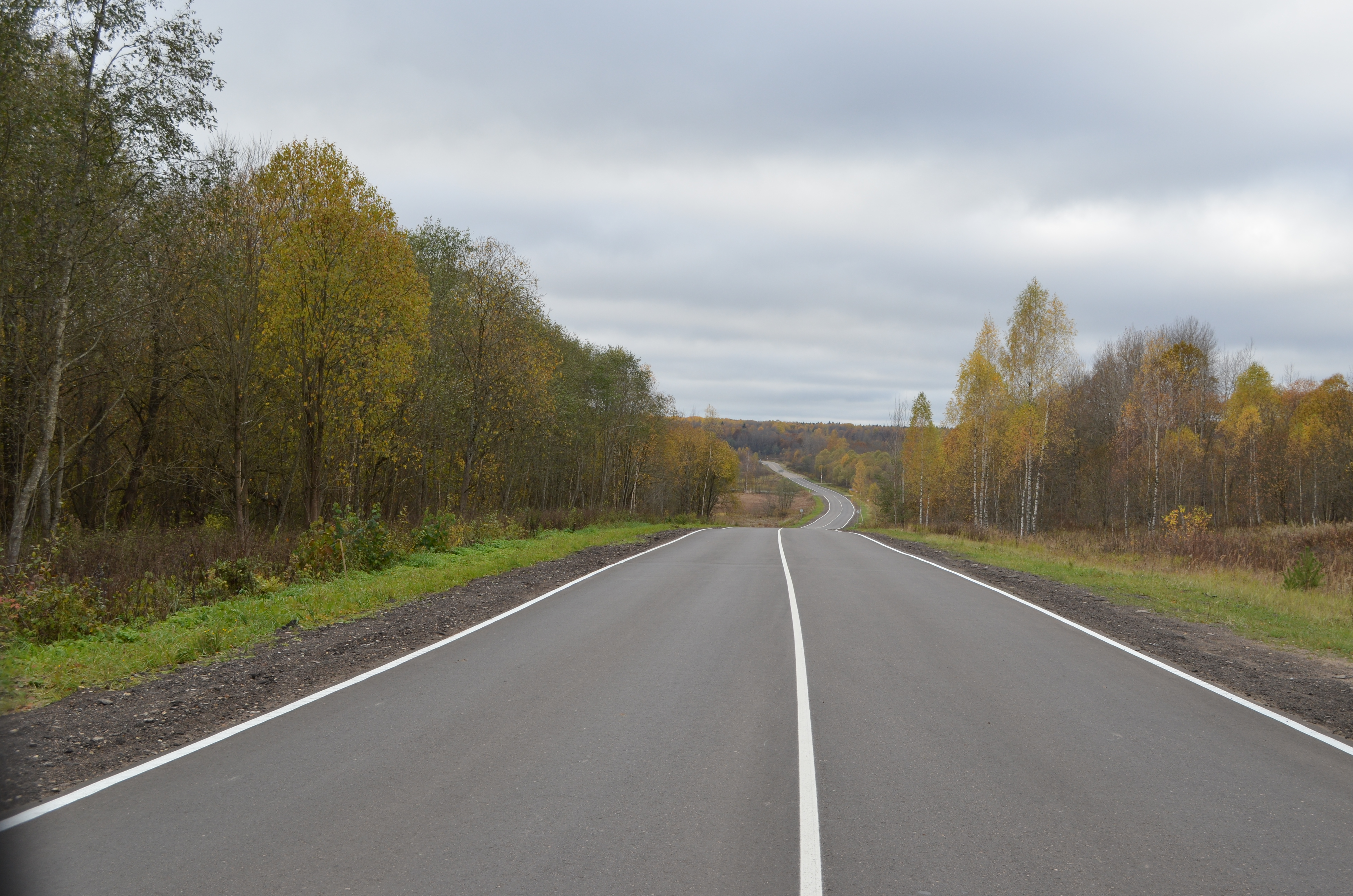 Октябрь дорога. Дорога на Вязьму. Старую Смоленскую дорогу. Граница с Беларусью дорога.